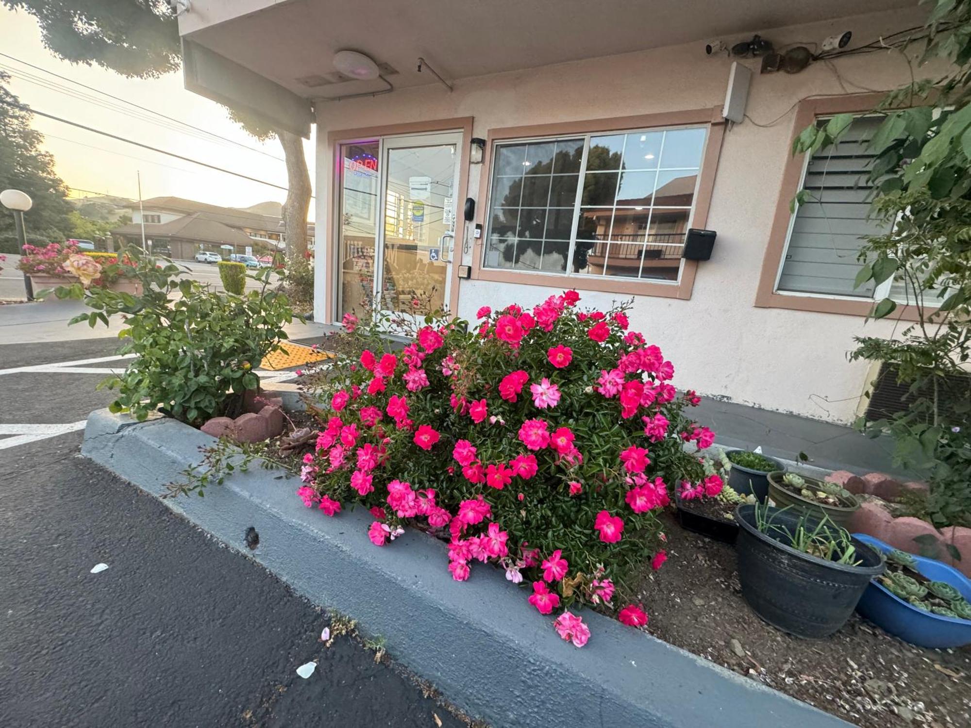 Morgan Hill Inn Hotel 2*